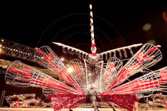 Curtis Eustace portraying Spirits of Mandingo - An African Legend won first place in the King of Carnival competition at Dimanche Gras.