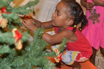 2011-Annia-84