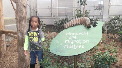 2014-Annia-Bronx-Zoo-Raphael-218
