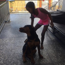 2017-Annia-Dogs-436