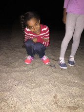 2017-Annia-Turtle-Watch-439