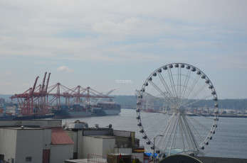 Seattle-Great-Wheel-Seattle-Washington-2012